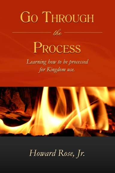 Go Through The Process book cover